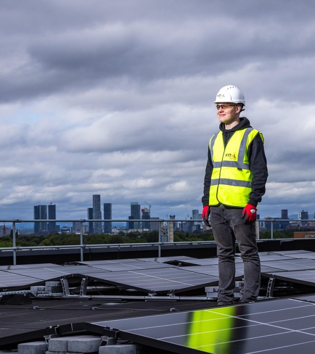 solar, panel, solar panels, solar energy, rooftop, man, worker, solar, solar, solar, solar, solar, solar panels, solar panels, solar panels, solar panels, solar panels, solar energy, solar energy, solar energy, worker